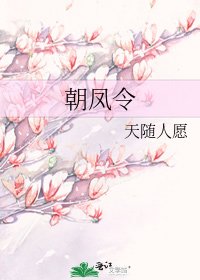 《朝凤令》