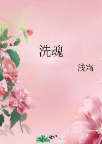洗魂