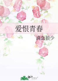 《爱恨青春》
