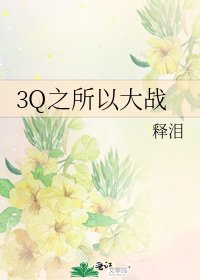 《3Q之所以大战》