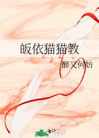 皈依貓貓教