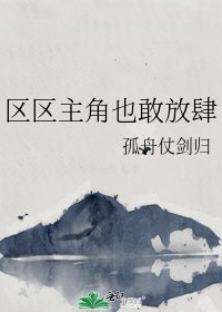 《区区主角也敢放肆》